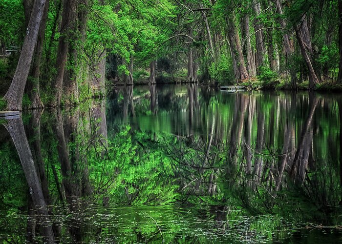 Nature Greeting Card featuring the photograph River of Reflections by Toma Caul