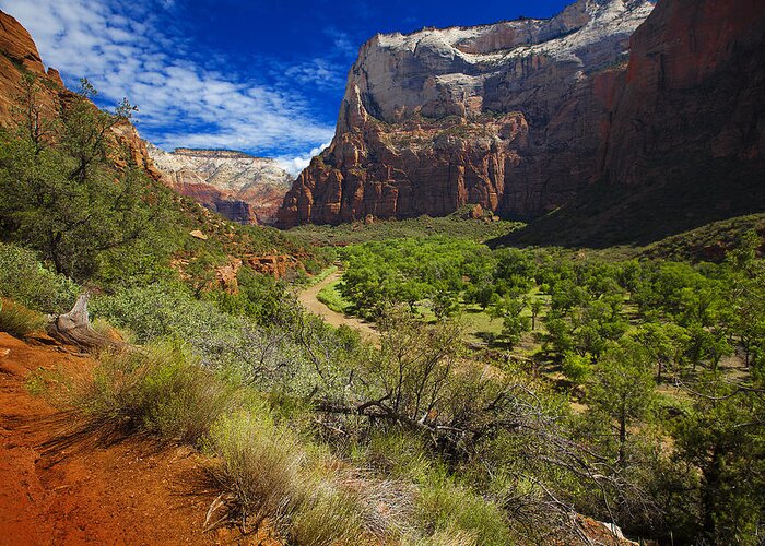 Landscape Greeting Card featuring the photograph River View in Zion Park by Richard Wiggins