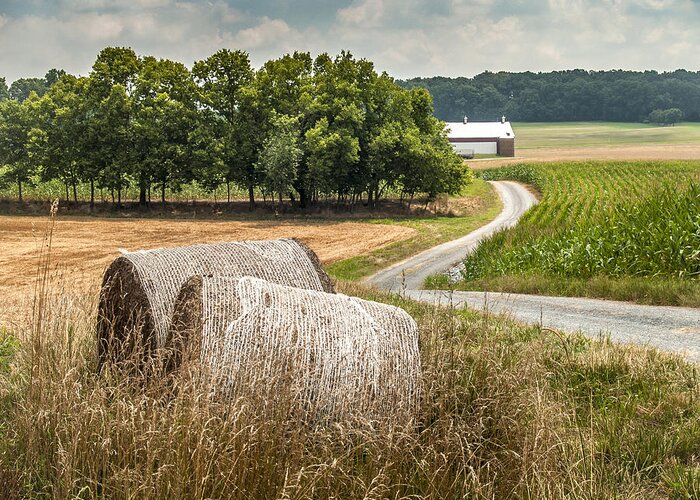 Thomas Farm Greeting Card featuring the photograph Road To The Thomas Farm by Andy Smetzer