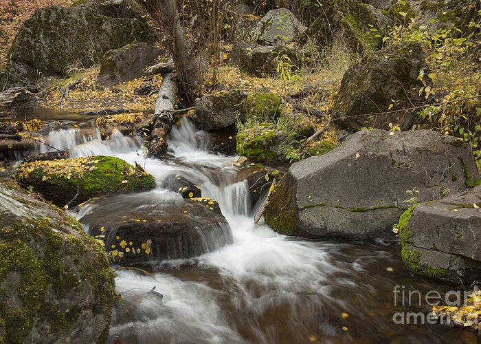 Idaho Greeting Card featuring the photograph Rock Creek Autumn by Idaho Scenic Images Linda Lantzy