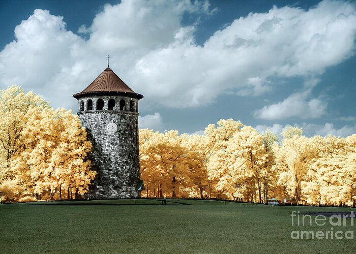 Rockford Greeting Card featuring the photograph Rockford Tower by Stacey Granger
