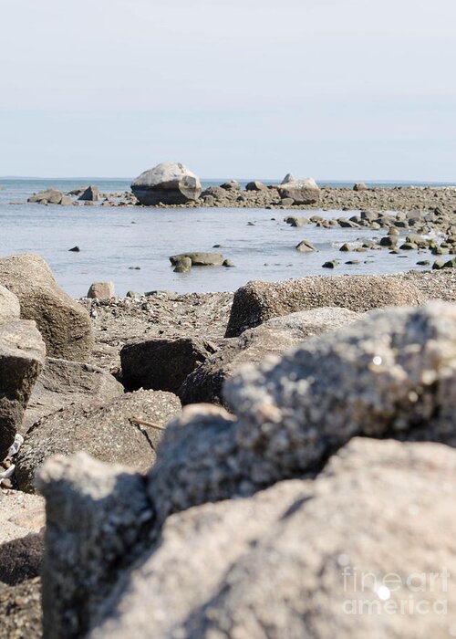 Sea Greeting Card featuring the photograph Rocks on the beach by Andrea Anderegg