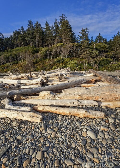 Beach Greeting Card featuring the photograph Rocky Beach and Driftwood by Bryan Mullennix