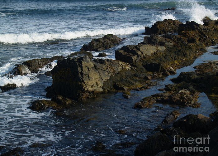 Cliff Walk Greeting Card featuring the photograph Rocky Scene at Newport Cliff Walk by Anna Lisa Yoder