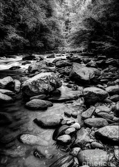 Stream Greeting Card featuring the photograph Rocky Smoky Mountain River by Michael Eingle