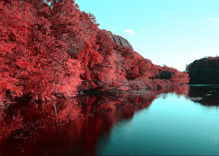 Autumn Colors Photographs Greeting Card featuring the photograph Rojo by Ricardo Dominguez