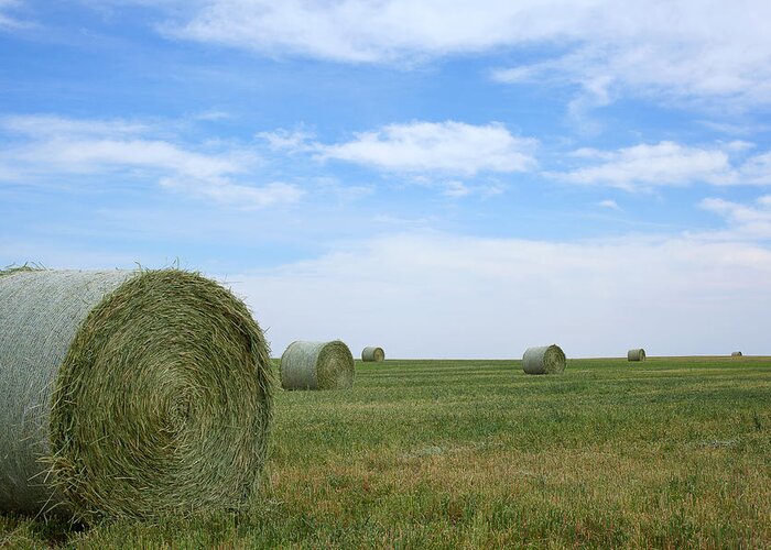 Hay Bales Photograph Greeting Card featuring the photograph Rollin' Rollin' Rollin' by Jim Garrison