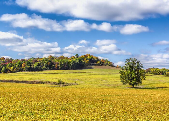 Autumn Greeting Card featuring the photograph Rolling Fields Of Color by Bill and Linda Tiepelman