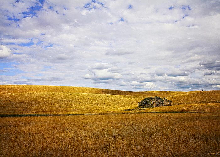 Landscape Photography Greeting Card featuring the photograph Rolling Prairie by Theresa Tahara