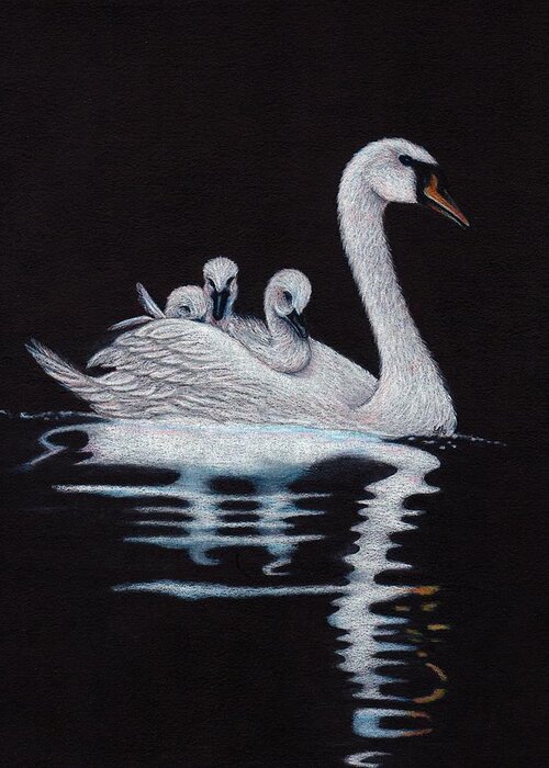 Swans Greeting Card featuring the drawing Room for One More on Top by Jo Prevost