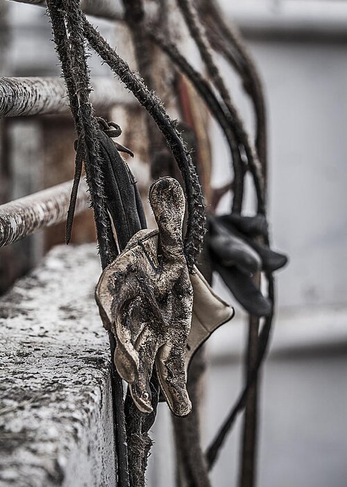 Landscapes Greeting Card featuring the photograph Ropes and Gloves by Amber Kresge