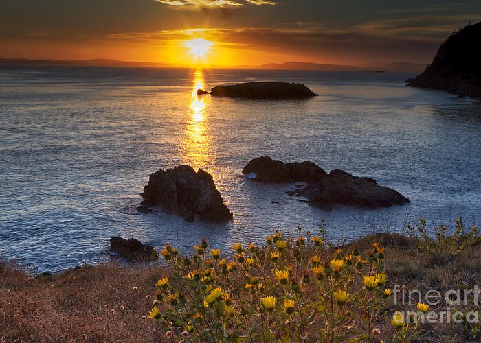 Rosario Head Greeting Card featuring the photograph Rosario Head Sunset by Mark Kiver