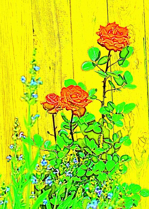 Floral Greeting Card featuring the photograph Rose 9 by Pamela Cooper