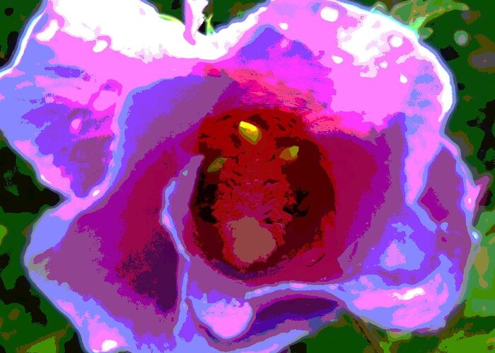 Rose Of Sharon Greeting Card featuring the photograph Rose of Sharon Abstract by Mark Malitz