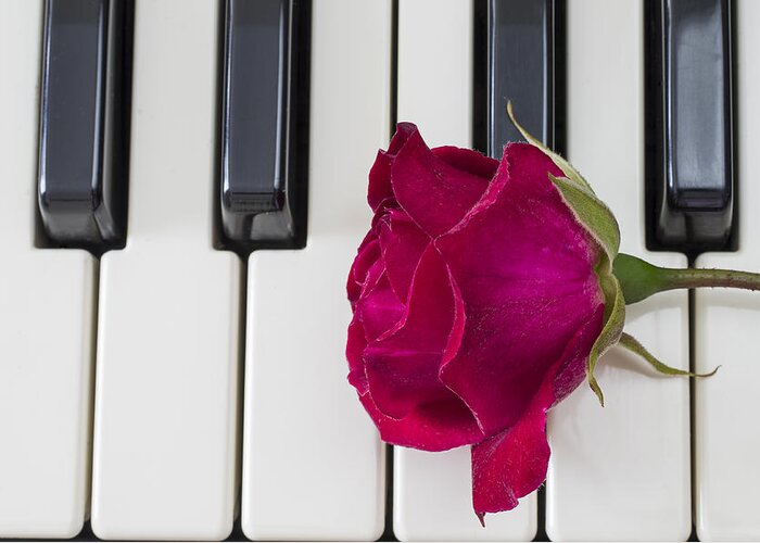 Piano Greeting Card featuring the photograph Rose over piano keys by Paulo Goncalves