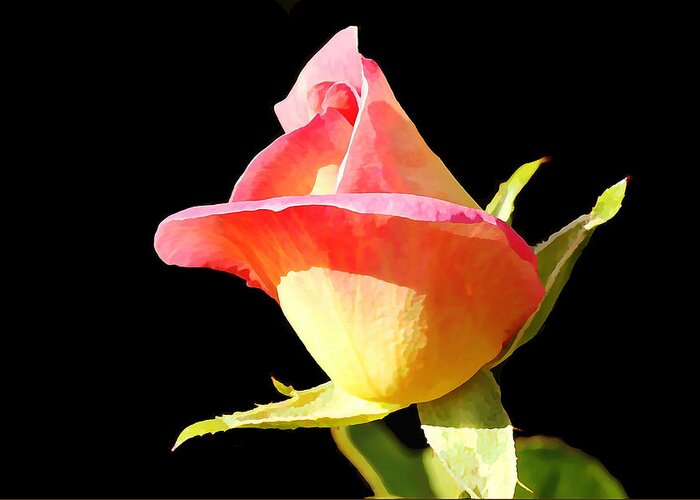 Rosebud Greeting Card featuring the photograph Rosebud by Jean Connor