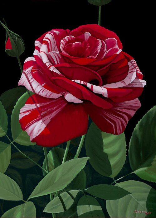 Roses Greeting Card featuring the painting Scentimental by Michael Putnam