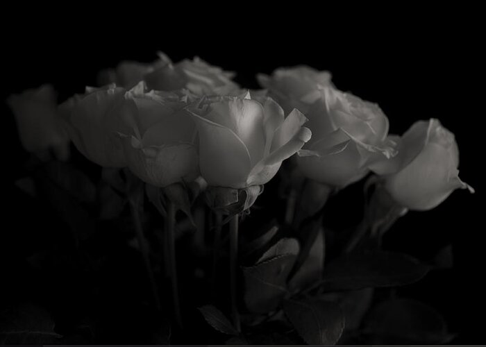 B&w Greeting Card featuring the photograph Roses by Mario Celzner
