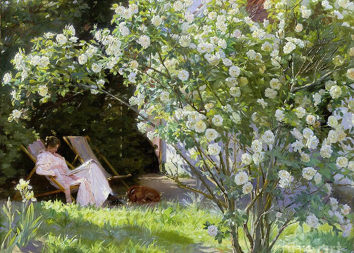 Rosebush Greeting Card featuring the painting Roses by Peder Severin Kroyer