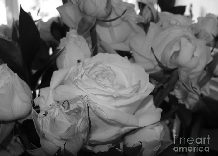 Roses Greeting Card featuring the photograph Roses by Tiziana Maniezzo