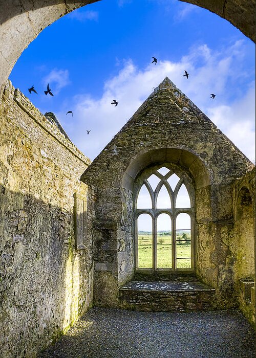 Galway Greeting Card featuring the photograph Ross Errilly Friary - Irish Monastic Ruins by Mark E Tisdale