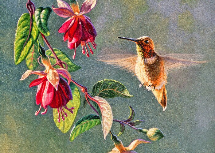 Wildlife Greeting Card featuring the painting Rufous and Fuschia by Paul Krapf