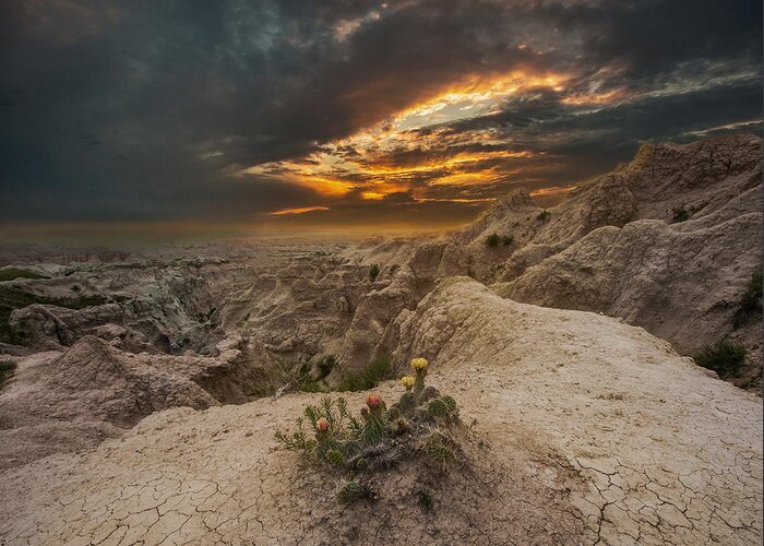 Sunset Greeting Card featuring the photograph Rugged Beauty by Aaron J Groen