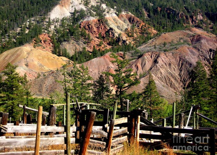 Soil Greeting Card featuring the photograph Rugged Beauty by Kathy Bassett