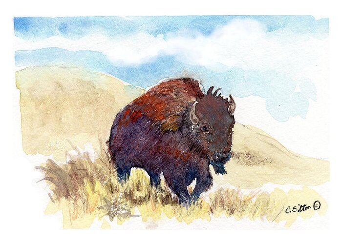 C Sitton Painting Paintings Greeting Card featuring the painting Running Buffalo by C Sitton