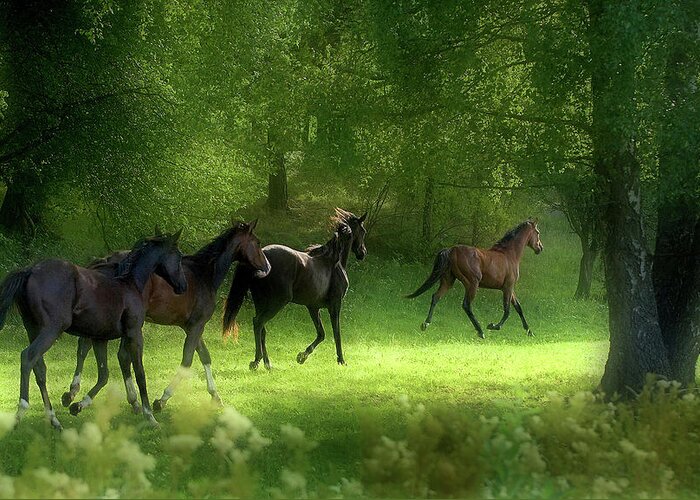 Horses Greeting Card featuring the photograph Running Horses by Allan Wallberg