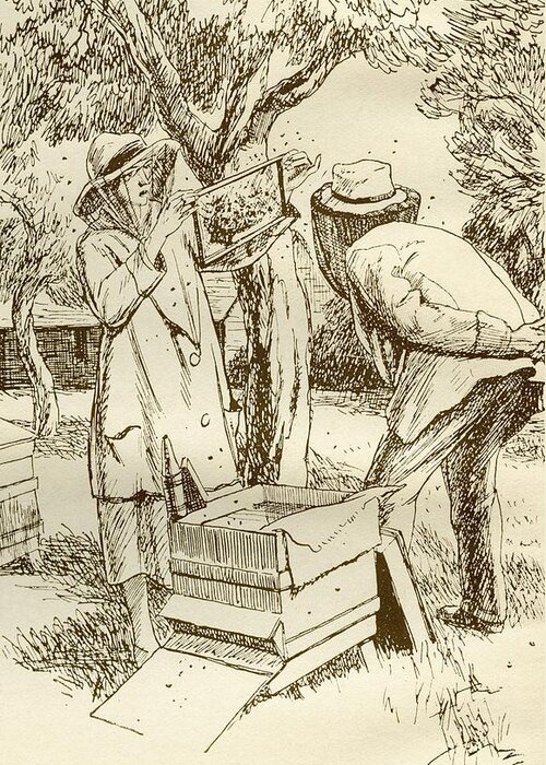 Rural Greeting Card featuring the photograph Rural Beekeeping In The Early Twentieth Century. From Windfalls By Alpha Of The Plough, Published by Bridgeman Images
