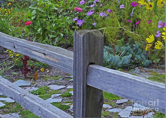 Fence Greeting Card featuring the photograph Rustic Garden Spot by Ann Horn