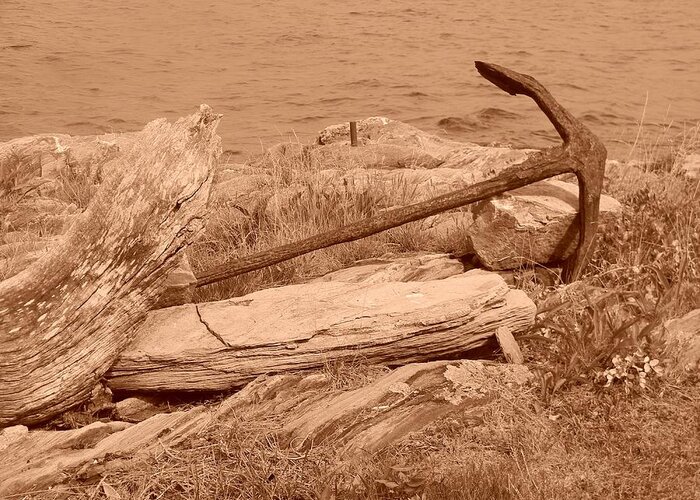 Anchor Greeting Card featuring the photograph Rusty by Jean Goodwin Brooks