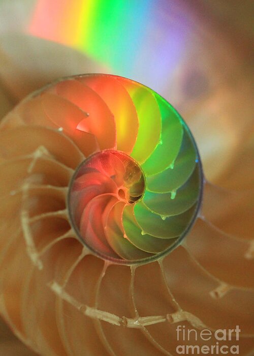 Color Greeting Card featuring the photograph Sacred Spiral Rainbow by Jeanette French