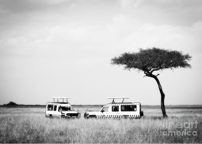 Africa Greeting Card featuring the photograph Safari Dream by Chris Scroggins