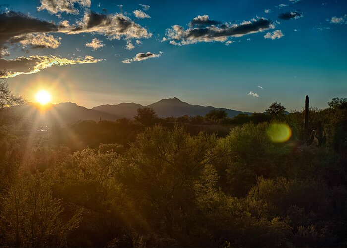 Tucson Greeting Card featuring the photograph Saguaro National Park by Dan McManus