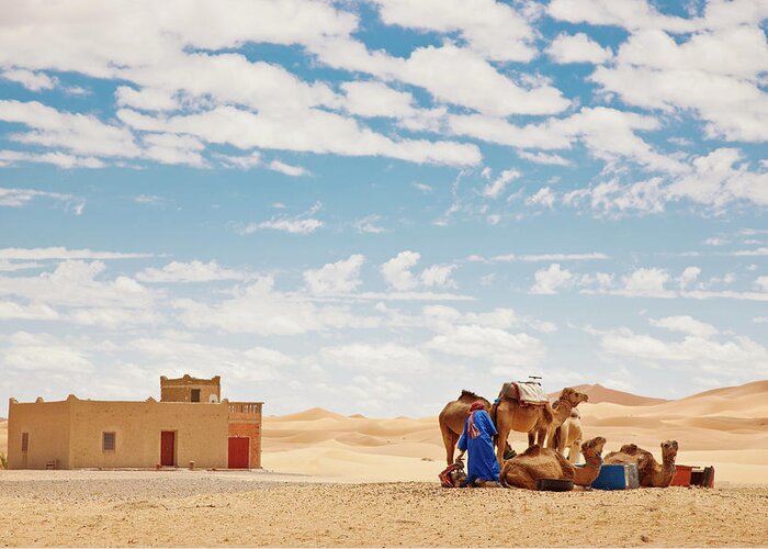 Scenics Greeting Card featuring the photograph Sahara Berber With Camels Erg Chebbi by Mlenny
