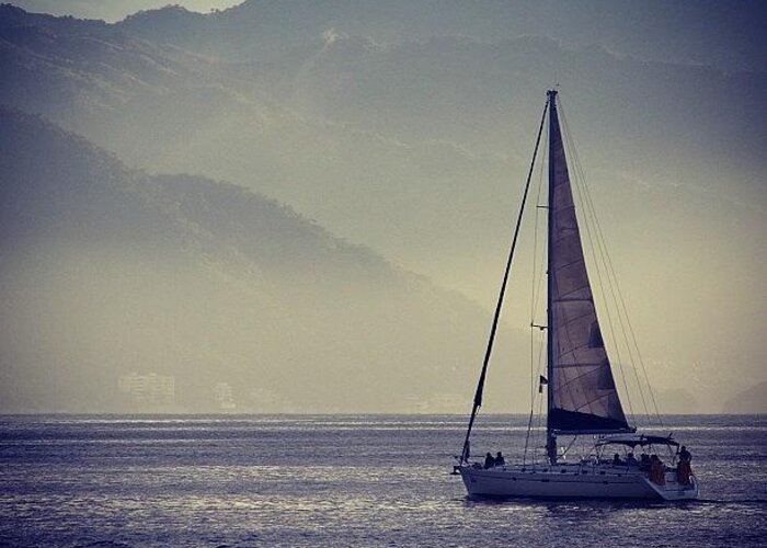 Latergram Greeting Card featuring the photograph Sail Boat In Puerto Vallarta #latergram by Benjy Lipsman