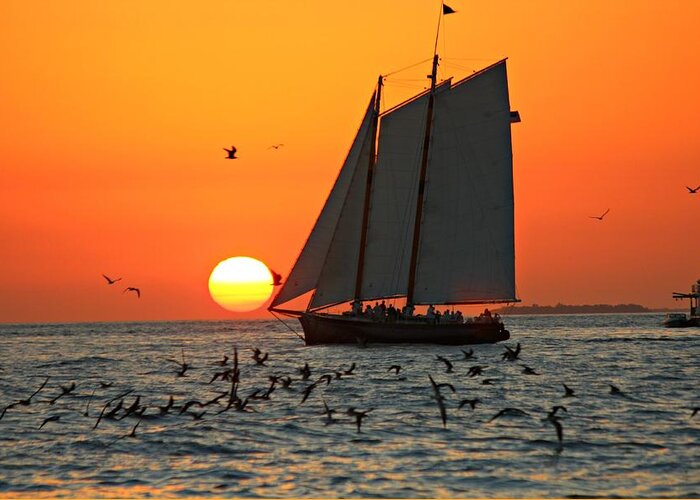Sail Boat Greeting Card featuring the photograph Sail into the Sunset by Jo Sheehan