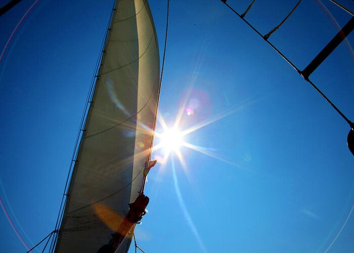 Sail Greeting Card featuring the photograph Sail Shine by Jan Marvin Studios by Jan Marvin