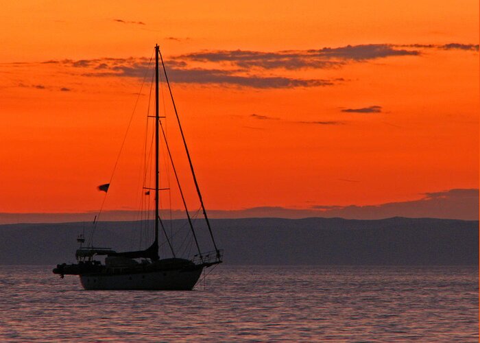 Sail Greeting Card featuring the photograph Sailboat at Sunset by Marcia Socolik