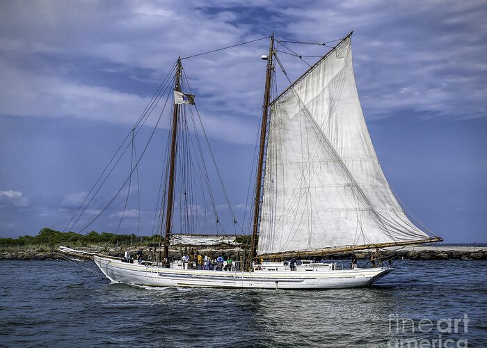 Sail Greeting Card featuring the photograph Sailboat in Cape May Channel by Nick Zelinsky Jr