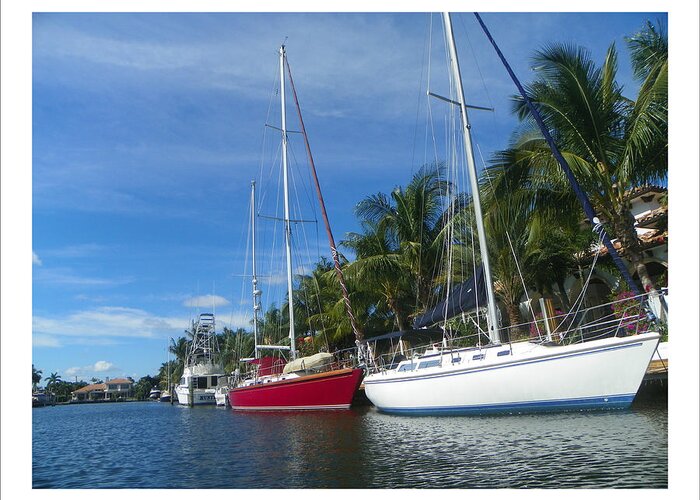 Sailboats Channel Water Blue Sky Sunny Hot Florida Greeting Card featuring the photograph Sailboats by Dianne Lacourciere