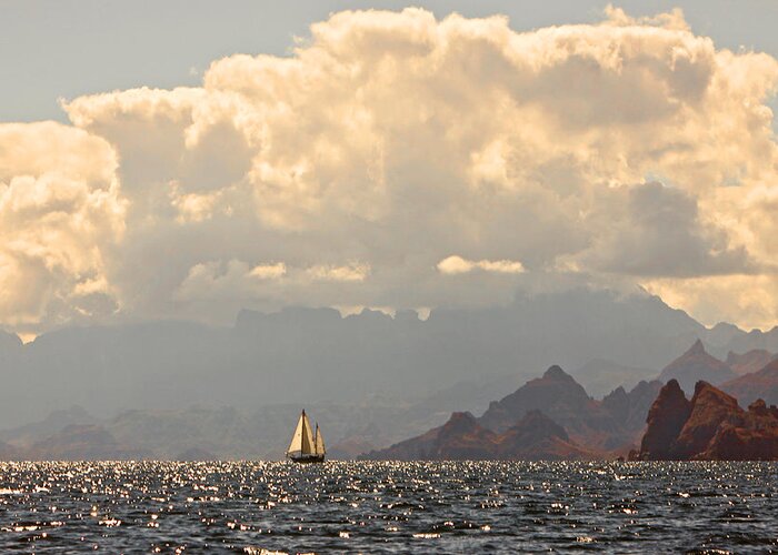 Seascape Art Greeting Card featuring the photograph Sailing the Sea of Cortez by Kandy Hurley