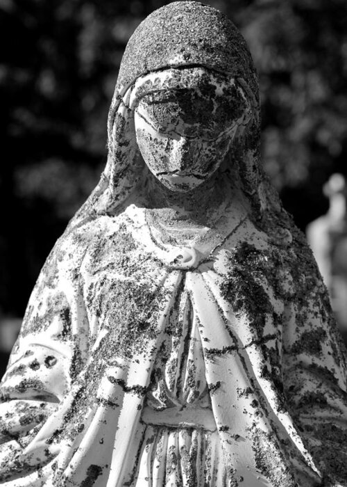 Statue Greeting Card featuring the photograph Saint Mary 1 by Mary Bedy