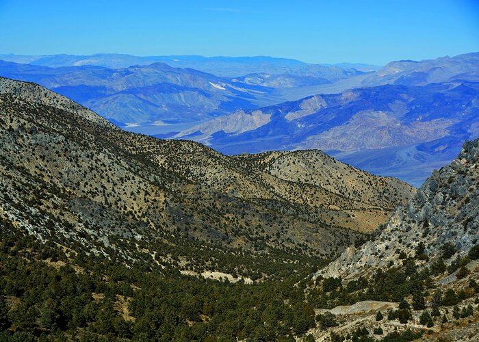 Desert Greeting Card featuring the photograph SAline Valley from Cerro Gordo Pass November 16 2014 by Brian Lockett