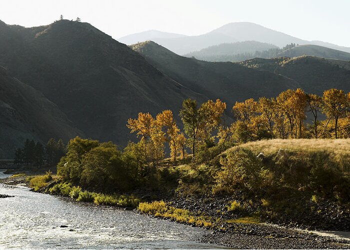 Autumn Greeting Card featuring the photograph Salmon River Near Riggins, Idaho by Theodore Clutter