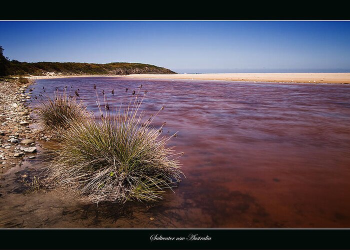 Seascape Greeting Card featuring the photograph Saltwater nsw Australia 01 by Kevin Chippindall