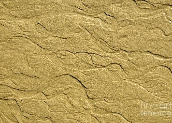 Sand Greeting Card featuring the photograph Sand by Marc Bittan