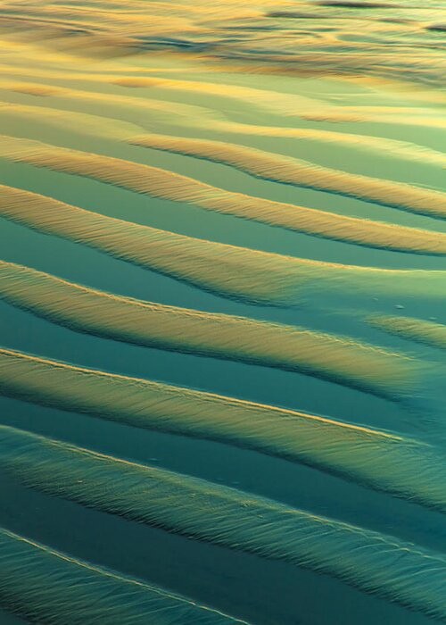 Nature Greeting Card featuring the photograph Sand Pattern 2 by Jonathan Nguyen